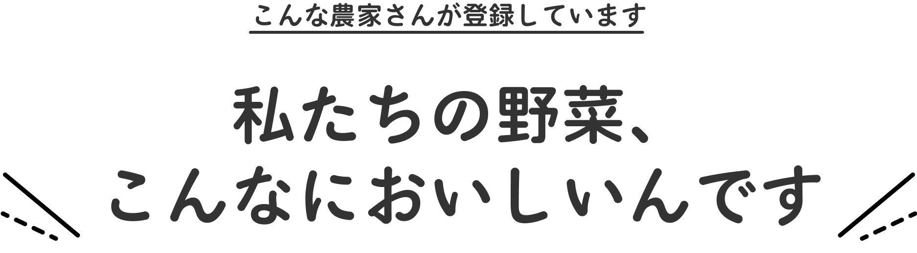 こんな農家さんが登録しています　私たちの野菜、こんなにおいしいんです